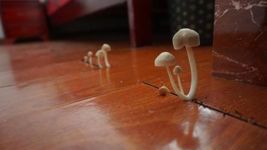 潮濕的地下室對(duì)人體有哪些危害？